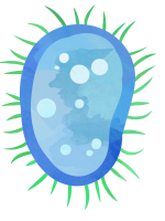 Germ_02